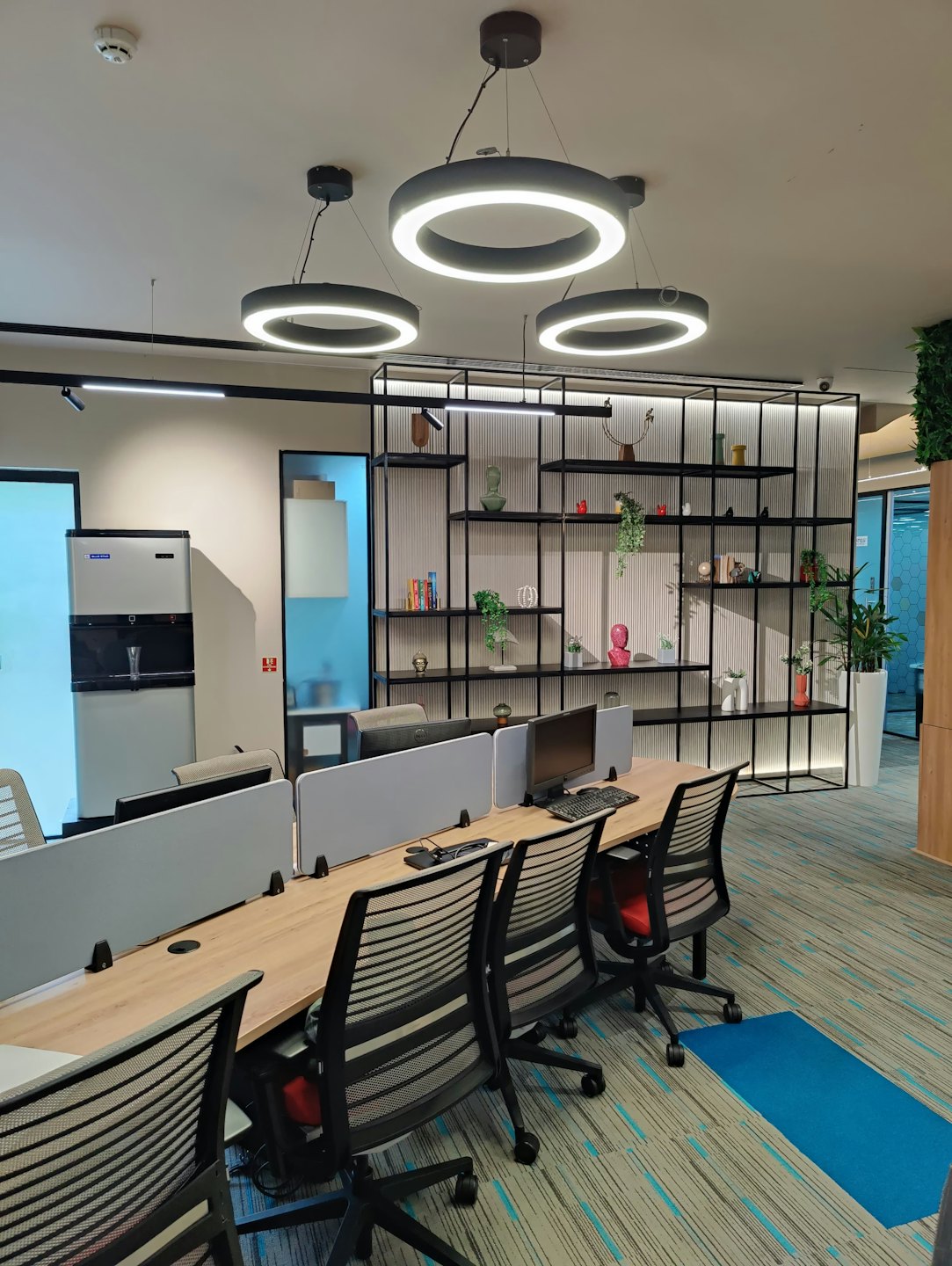 Dekoratif bitki rafına bakan sandalyeli modern ofis masaları.